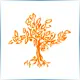 Pitzer College - Medical School Ranking