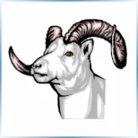 Little Big Horn College